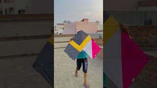 WE MADE 3 COMBO KITE Patang 😍 shorts pkcrazyexperiments [upl. by Ynaitirb]