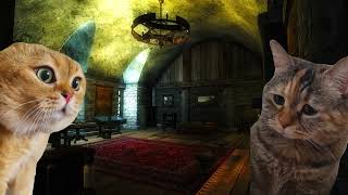 THE ELDER SCROLLS MEMES 4  KHAJIIT WANTS TO BUY SKOOMA [upl. by Mehelhteb]