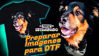 🔥Así PREPARO YO una IMAGEN para DTF 💥 [upl. by Idnis]