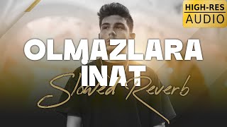 Berkay Altunyay  Olmazlara İnat Slowed  Reverb HiRes [upl. by Dennie]