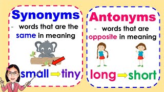 Synonyms and Antonyms  meaning and examples  Lesson with quiz [upl. by Rivera]