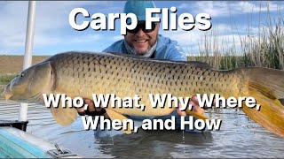 Carp Flies  How to decide what flies to use for Carp [upl. by Eireva227]