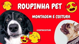 Diy Roupinha Pet [upl. by Atiuqet619]