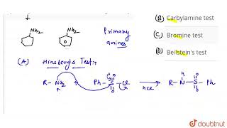 Cyclohexylamine and aniline can be distinguished by  CLASS 12  ORGANIC COMPOUNDS CONTAINING N [upl. by Dihgirb]