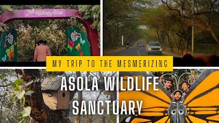 Asola wildlife sanctuary memories memorablemoments greatadventure funny wildlife [upl. by Doykos]