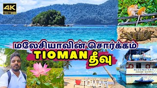 Tioman Island full tour  Beach and Waterfalls  Malaysia  Mersing Johor Malaysia  arunify [upl. by Ande942]