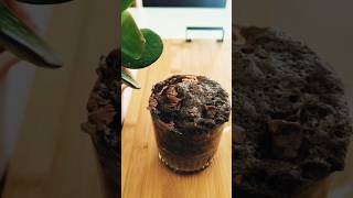 Chocolate Overloaded Mug Cake 😍😋 How to Make Cake in 2 Mins cake foodiefoodvibes shorts yt [upl. by Kenley]