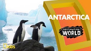 Antarctica  Destination World [upl. by Danita]