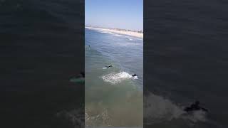 SURFERS surfing at SEAL BEACH CALIFORNIA [upl. by Enelrihs]