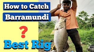 How to catch Barramundi   Barramundi Fishing Techniques  Fishing India Mumbai  Big Barramundi [upl. by Aldarcy]