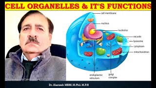 Cell Organelles amp its functions  Lectures by Dr Alamzeb [upl. by Japha]