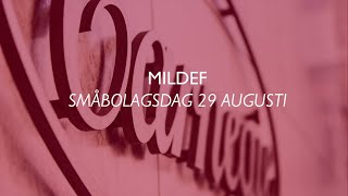 MilDef presentation  Carnegie småbolagsdag [upl. by Raviv]