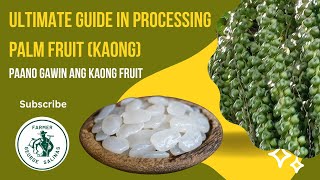 From Harvest to Delicious Kaong Delights The Ultimate Palm Fruit Processing Guide [upl. by Coraline176]