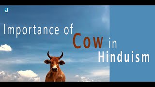 The Importance of a Cow in The Indian and Hindu Culture  wwwjothishicom Vedic Animals [upl. by Scheer]