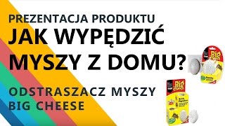 Jak wypędzić myszy z domu przy pomocy ultradźwięków Odstraszacz myszy Big Cheese Sposób na myszy [upl. by Ahseket239]