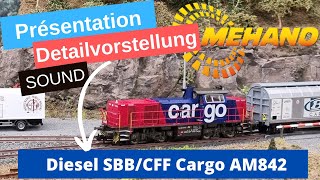 Test  Mehano SBB Cargo G1000 [upl. by Janeen]