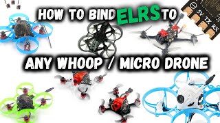 How To Bind Any amp ALL Whoop amp Micro Drones To ELRS  Your Complete SetUp Guide  ExpressLRS [upl. by Felicie518]