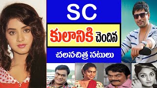 SC కులానికి చెందిన సౌత్ ఇండియన్ స్టార్స్  SC Caste Actors in Tollywood  Telugu Celebrity Stuff [upl. by Cilegna]