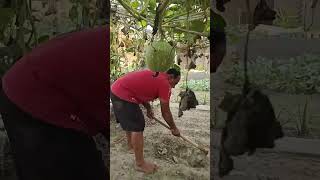 Aaj Garden Me Chla Di Tubewell minivlogs villagelife palfamilyvlogs [upl. by Nalyac]