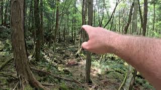 Aokigahara Round 7 Part 3 [upl. by Inaej]