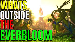 World Of Warcraft Whats Outside The Everbloom [upl. by Mencher]