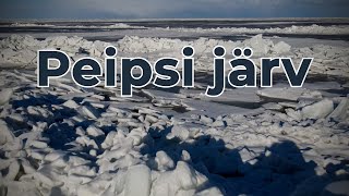 Peipsi järv  Lake Peipus  Чудское [upl. by Anileba]