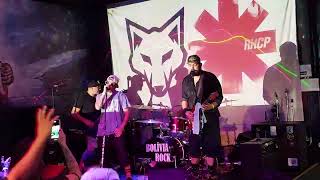 161124  Cover Fest  Banda Coyotes Califórnia  Red Hot Chilli Peppers cover  ICBR [upl. by Edna]