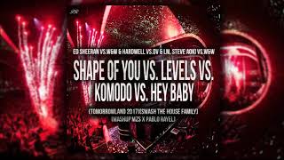 Shape of You Vs Levels Vs Komodo Vs Hey Baby DV amp LM  TML 17Smash The House Family [upl. by Neils781]