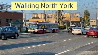 Walking Wilson Avenue near North York’s Tail End [upl. by Center]