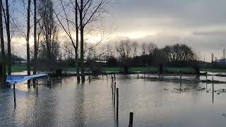 Parcours Hexia Cyclocross Gullegem onder water gelopen [upl. by Abbi]