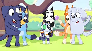 Bluey Characters Who Were Supposed To Appear At The End Of Surprise Episode [upl. by Arag]