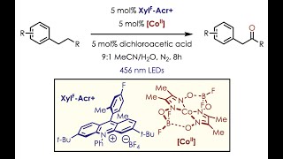 Homobenzylic Oxygenation via Dual Organic Photoredox and Cobalt Catalysis with Dr Joshua McManus [upl. by Leisam8]