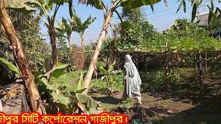 বাউন্ডারি সহ জমি গরীবের জন্য Kom Damer Jomi It Sarif [upl. by Ahsatan]