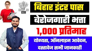 Bihar Berojgari Bhata Yojana 2024  इंटर पास 1000 महिना बेरोजगारी भत्ता जाने कैसे करे ऑनलाइन अप्लाई [upl. by Rehnberg]