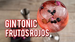 GIN AND TONIC DE FRUTOS ROJOS 🍓 bartender [upl. by Pearline]