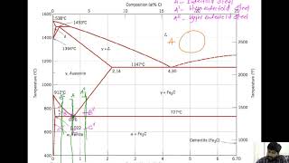 Microstructure of eutectoid steel [upl. by Shu]