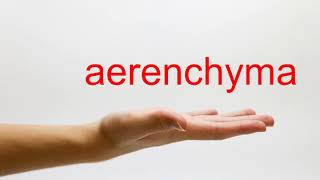 How to Pronounce aerenchyma  American English [upl. by Theresita1]