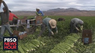 The US has a thirst for immigrant workers Why do so many struggle to get legal status [upl. by Rozele]