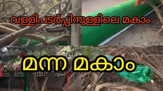 കണ്ണൂർ ജില്ലയിലെ വള്ളികൾക്കിടയിൽ സ്ഥിതി ചെയ്യുന്ന മകാം [upl. by Fariss]