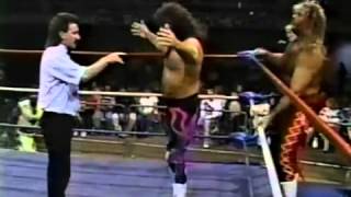 The Fabulous Freebirds vs Brad Armstrong amp Allen Iron Eagle [upl. by Bernstein]