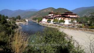 Punakha Dzong Fortress in Bhutan [upl. by Laverne]