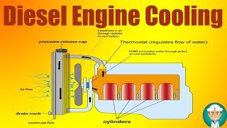 Marine Diesel Engine Cooling Water System [upl. by Grogan]