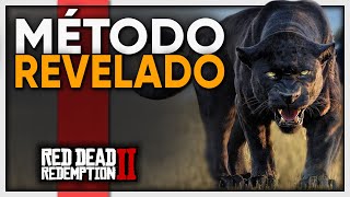 RED DEAD REDEMPTION 2  COMO ACHAR A PANTERA RÁPIDO E FÁCIL [upl. by Glorianna]