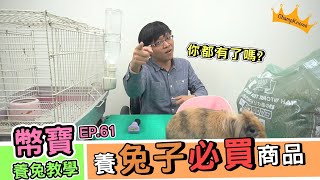 養兔子必買的商品，你都買齊了嗎？｜幣寶養兔教學系列 EP 61｜ChamKnows【冠軍知道】 [upl. by Anilas]