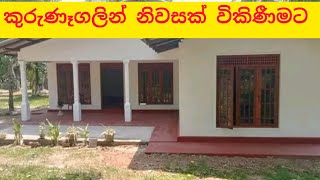 Property for sale in Kurunegala  Cheap house for sale in sri lanka  house and land for sale [upl. by Morell]