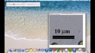 Tutorial ImageJ [upl. by Oirramaj399]
