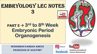 Embryology Lec Notes 3  3rd WEEK TRILAMINAR GERM DISC  3rd to 8th Week  Embryonic Period [upl. by Annaoi]