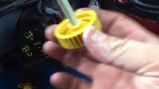 How to CORRECTLY Check the oil on MOST Kawasaki Engines [upl. by Jehial947]