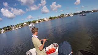 Noosa River Shark Encounter Bull Shark Attacks Our GT  MFJ [upl. by Nylekcaj]