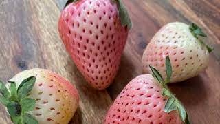 Learning amp Tasting Pineberries [upl. by Lisandra]